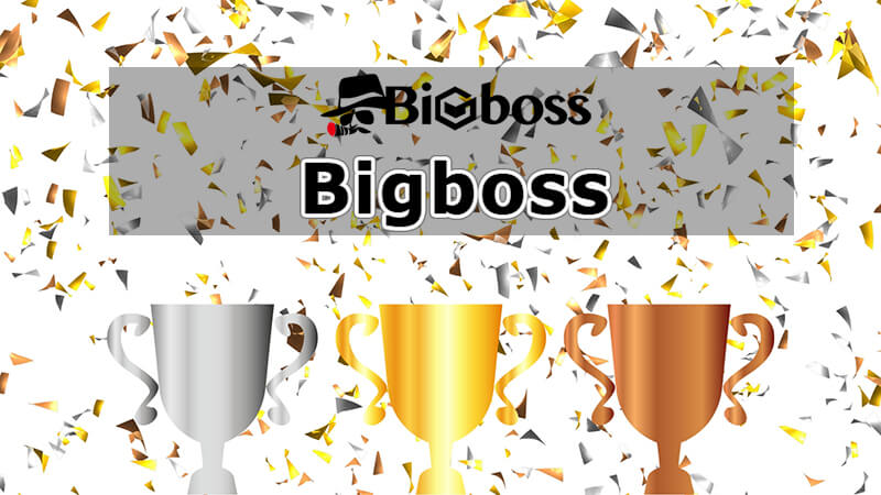 ボーナスBigBoss